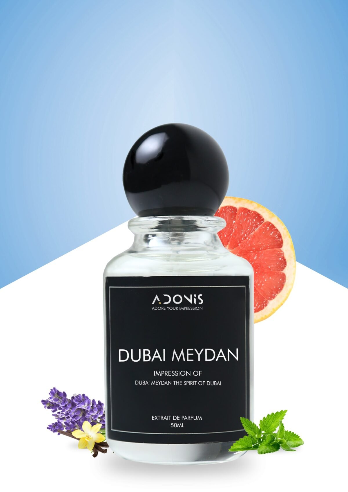 DUBAI MEYDAN